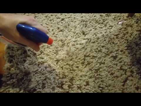 Cat Throw Up, Family Room Rug, 12.30.2016