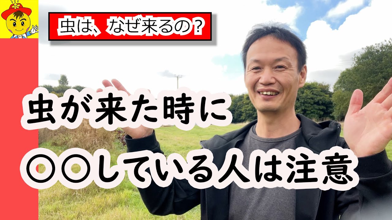 野菜に虫や病気がつく3つの原因