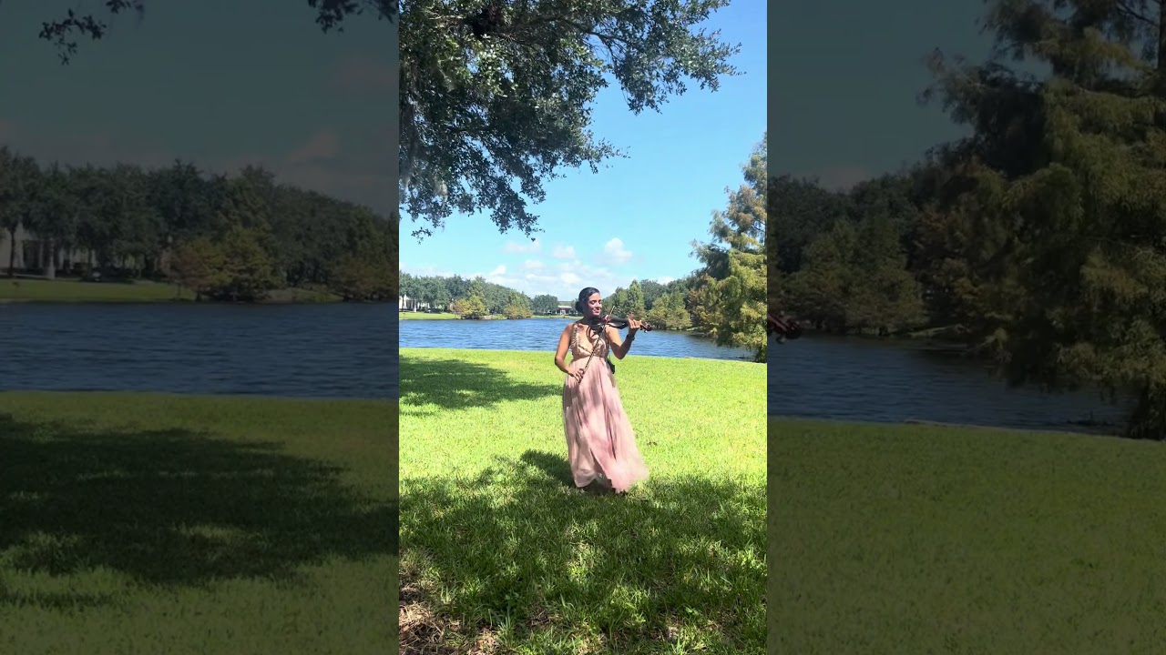 Promotional video thumbnail 1 for Laurens Signature Music