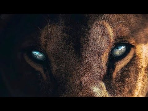 Estude Comigo - Hemorragias - Portal Bombeiro