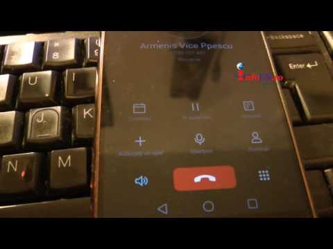 Zimbru apartinand Rewilding Europe și WWF România pe strada la Fenes