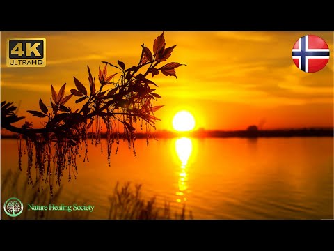 GOOD MORNING MUSIC 432Hz 😍 Soothing Fresh Energy Relaxing & Meditation Music 4K