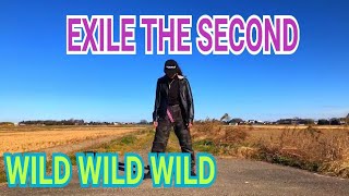 EXILE THE SECOND/WILD WILD WILD 踊ってみました。