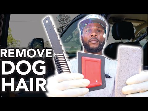 YouTube video about: How to keep dog hair out of car carpet?
