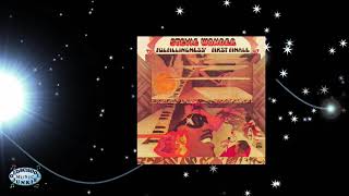 Stevie Wonder - It Ain&#39;t No Use