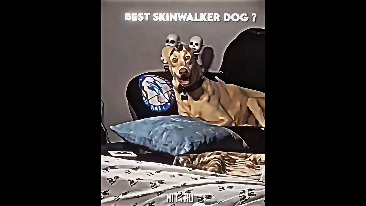 Best Skinwalker Dog 💀...
