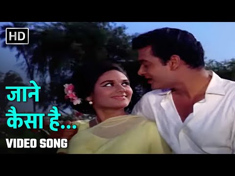 जाने कैसा है | Jaane Kaisa Hai | Aansoo Ban Gaye Phool (1969) | Deb Mukherjee, Alka | Kishore, Asha
