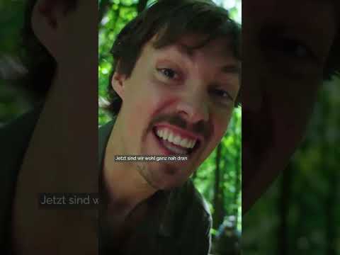 Video Thumbnail: Wolf vs. Schäfer