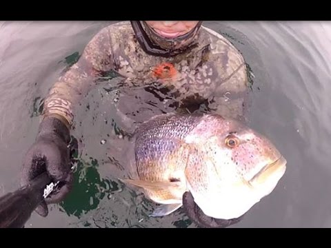 ÖNDER ÖZKAN - MARMARA TAŞALTI SİNARİT AVI