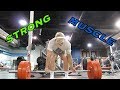 POWERLIFTING DEADLIFTS and shoulders | 18 Year Old Bodybuilder Larson Ford