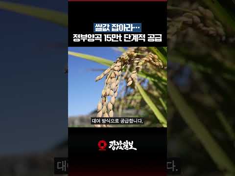 쌀값 잡아라…정부양곡 15만t 단계적 공급