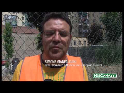 2017-06-10 FIRENZE - A SAN JACOPINO VANDALI SE LA PRENDONO CON ALBERI