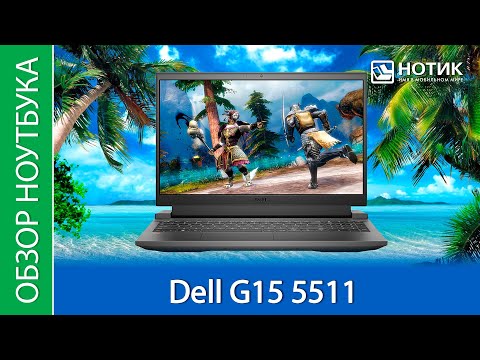 Обзор ноутбука Dell G15 5511. "Мне нельзя на Луну, я слишком тяжеленький, ракета меня не поднимет"