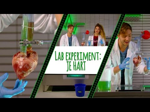 RACHEL EN ELBERT TESTEN HET HART! - LAB EXPERIMENT