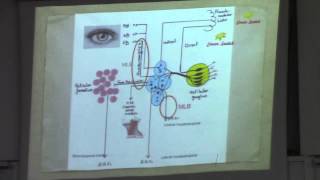 7-[CNS] DR.Eman Sadek 15-12-2015