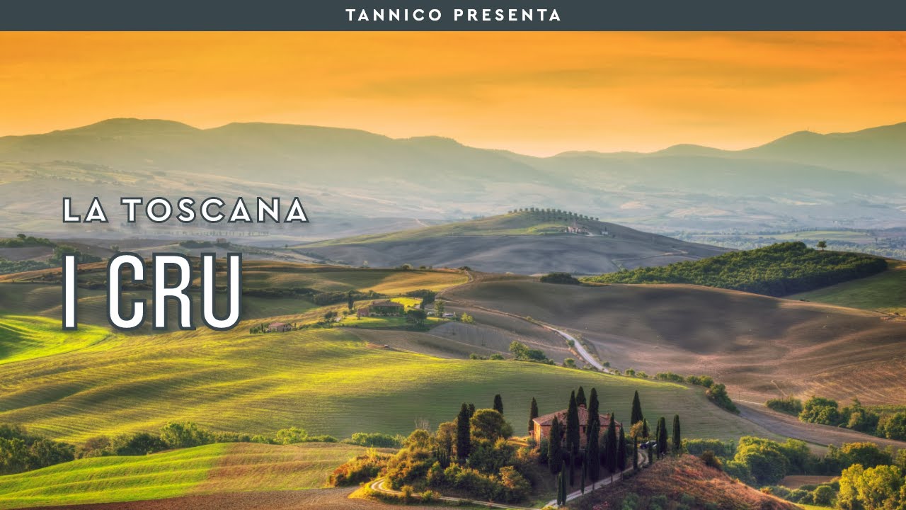 Sassicaia e gli altri cru della Toscana | Tannico Flying School