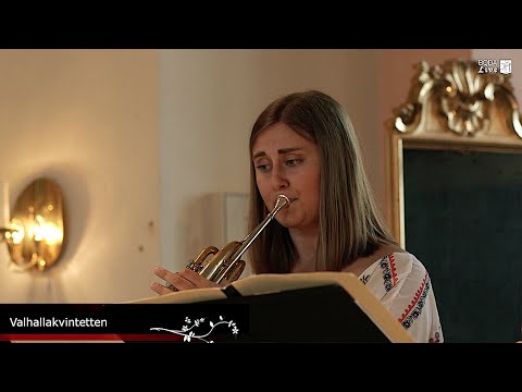 Valhallakvintetten - J. Fernström, Wind Quintet, Op  59: IV Finale Rondo: Vivace - Boda Live 2021