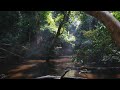 Tropical Nature Sounds Asia Deep Rainforest Pure Jungle Ambience