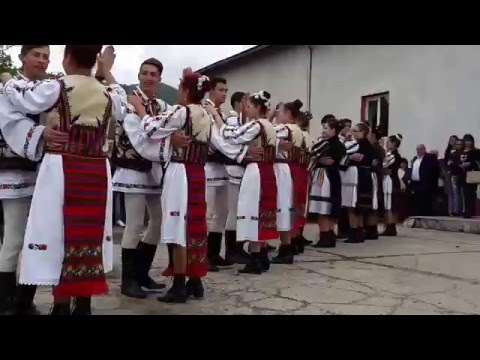 Bujorii Muntelui la Nedeia de la Cimpa - 8 mai 2016