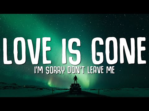 SLANDER - Love is Gone (Lyrics) ft. Dylan Matthew (Acoustic) I'm sorry don't leave me