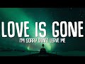 SLANDER - Love is Gone (Lyrics) ft. Dylan Matthew (Acoustic) "I'm sorry don't leave me"