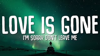 SLANDER - Love is Gone (Lyrics) ft. Dylan Matthew (Acoustic) &quot;I&#39;m sorry don&#39;t leave me&quot;
