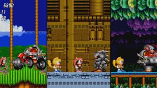 Sonic: Mighty & Ray in Sonic 2