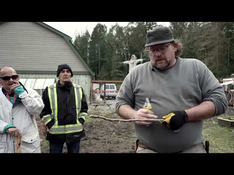 Video preview: Fruit Tree Care Up Close: Spur Thinning