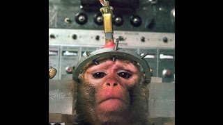 one slow breath - brian jonestown massacre