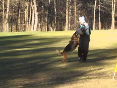 N..........   2014.04.04.