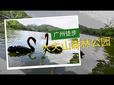 廣州免費景點：大夫山森林公園