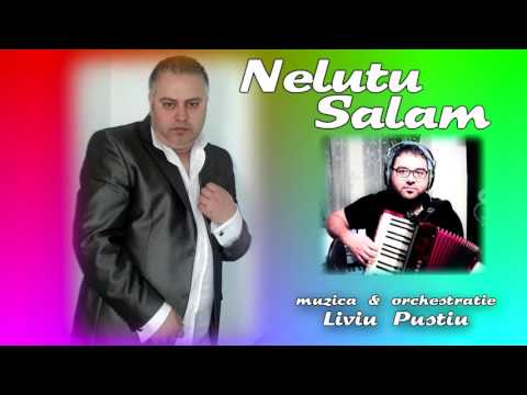 Nelutu Salam - Am pierdut in viata mea  | Official Audio