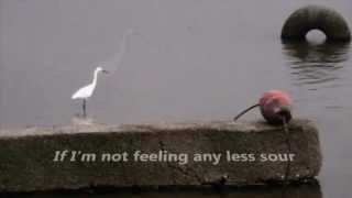 Alone again (naturally) + Lyrics- Gilbert O'Sullivan, 720P HD