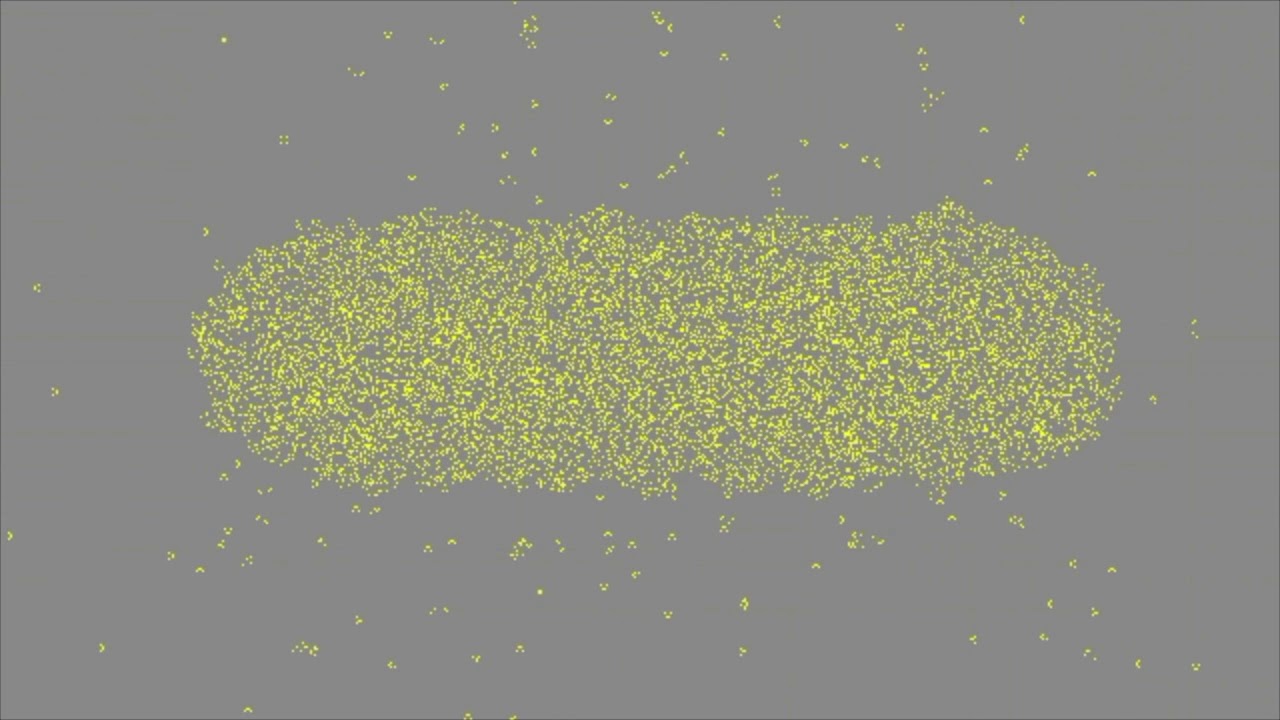 ��������� ����� �� ����� - ��� ������ ����