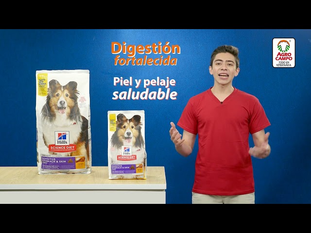 Vídeo relacionado con HILLS PET NUTRITION Alimentos de Mascotas - 2000 G