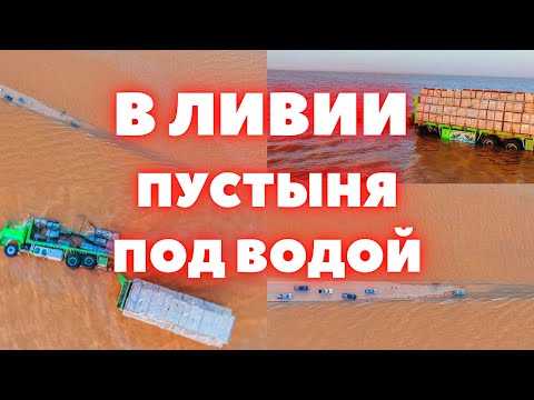 YouTube видео
