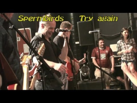 Spermbirds - Try again - Live KL Kammgarn 29.12.2012 II Version.