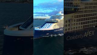 🔵⚪️Celebrity Apex  #cruiseship #cruisetour #cruise