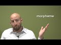 Morphology Part 1