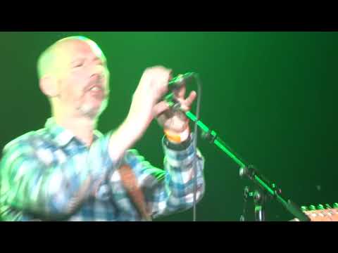 Bad Review - Half Man Half Biscuit