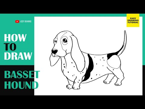 How to Draw Basset Hound