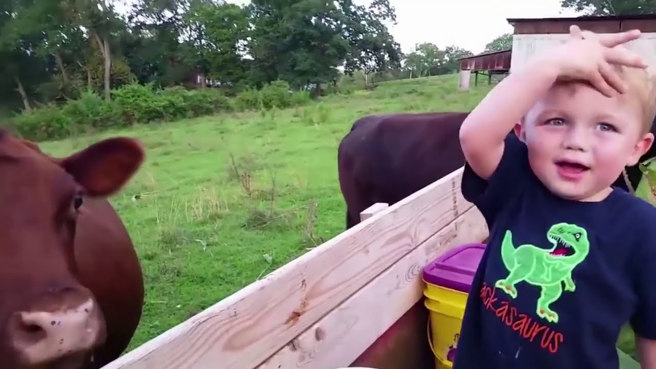 Trate de no reírse ★ Colección de videos divertidos sobre bebés que fracasaron en 2020 #4