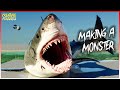 How To Build A Shark | The Shallows | Creature Features