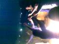 Bibi Shirini Fire MIx D