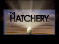 Gotham Entertainment Kambooteron Productions The Hatchery UNC TV American Public Television 2005