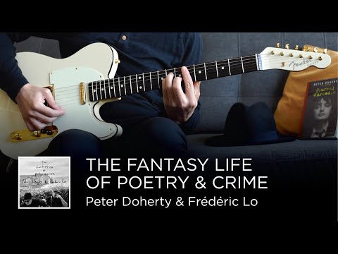 Peter Doherty & Frédéric Lo - The Fantasy Life of Poetry & Crime (Guitar Cover)