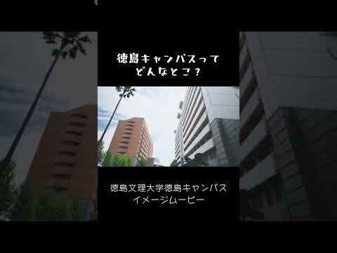 徳島キャンパスってどんなとこ？#イメージムービー　#徳島文理大学 #徳島キャンパス #徳島文理大学短期大学部 #空撮 #ドローン #徳島市