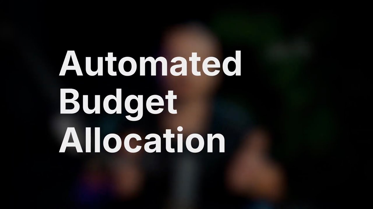 SegmentStream Automated Budget Allocation Demo