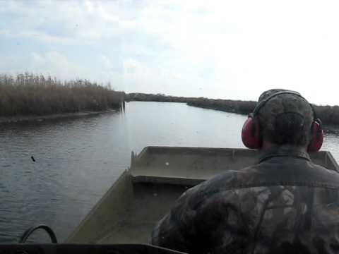 Wild hog hunting in the swamp  1/21/12