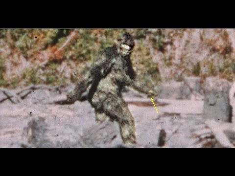 Top 15 Shocking & Horrifying Things Caught on Tape At Night